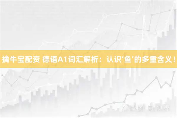 擒牛宝配资 德语A1词汇解析:认识‘鱼’的多重含义!