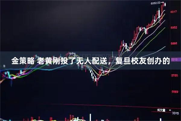 金策略 老黄刚投了无人配送，复旦校友创办的